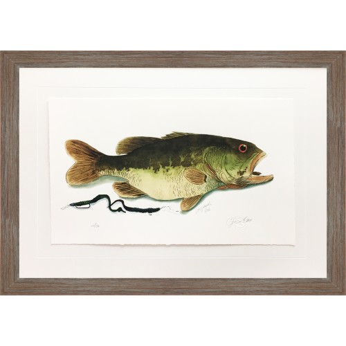 CL- LARGEMOUTH BASS